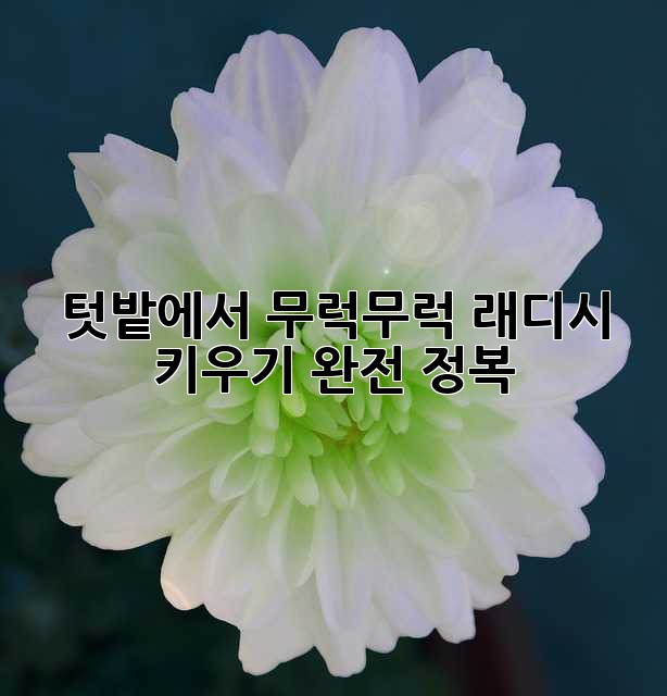 97e231af9a5d6c8a6d72c2b2c3816bb2.jpg