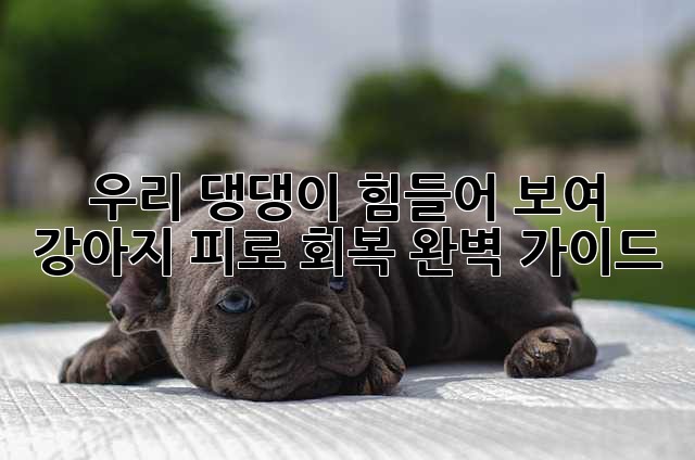 ddba7fc3f4b952437ee3de1b2eff6bf8.jpg