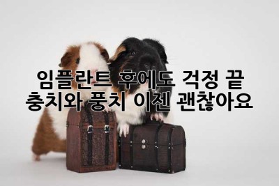 임플란트 후에도 걱정 끝! 충치와 풍치, 이젠 괜찮아요😊