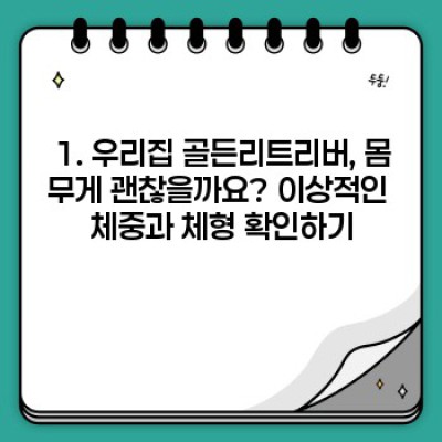 골든리트리버, 건강하게 오래 함께하기: 체중 관리 완벽 가이드