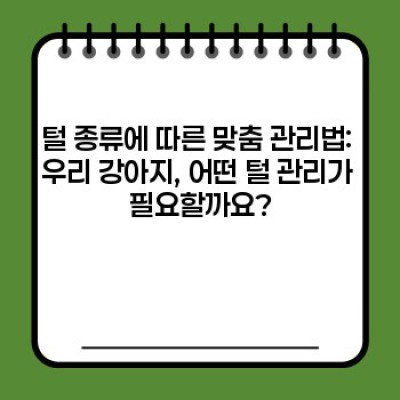 댕댕이 털 관리 A to Z: 똑똑한 견주를 위한 완벽 가이드