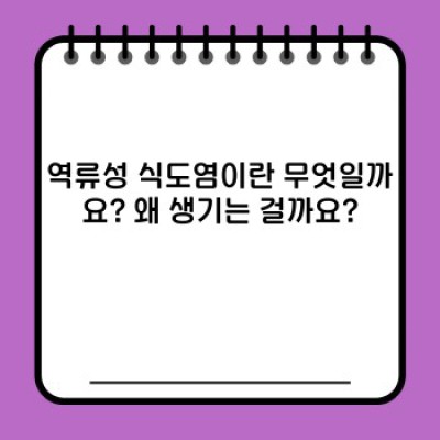 속쓰림 끝판왕, 역류성식도염 완전 정복 가이드: 치료법부터 예방까지!