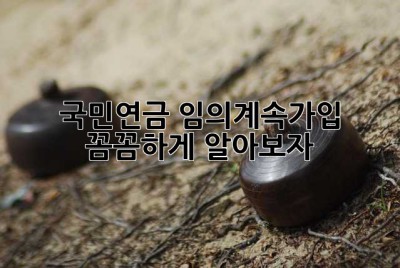 국민연금 임의계속가입: 꼼꼼하게 알아보자