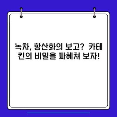 녹차항산화: 건강을 위한 녹차의 놀라운 힘, 제대로 알고 마시자!