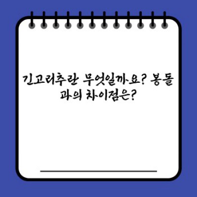 긴고리추 완벽 가이드: 종류, 특징, 선택 방법, 최신 트렌드까지!