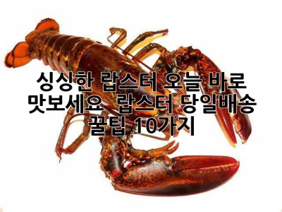 싱싱한 랍스터, 오늘 바로 맛보세요! 🦞 랍스터 당일배송 꿀팁 10가지