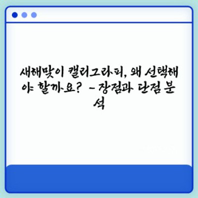 새해맞이 캘리그라피: 2024년 새해 인사, 나만의 스타일로 완성하기 – 장점, 단점, 디자인 가이드 & 사례 분석