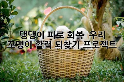 댕댕이 피로 회복!  우리 꼬맹이, 활력 되찾기 프로젝트