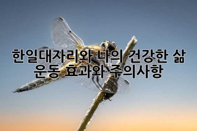 한일대자리와 나의 건강한 삶: 🧘‍♀️ 운동 효과와 주의사항