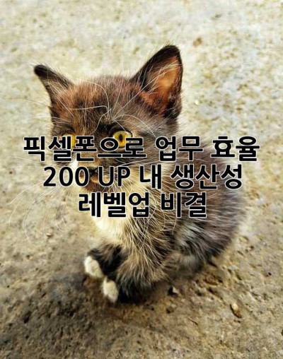 픽셀폰으로 업무 효율 200% UP! 내 생산성 레벨업 비결 ✨