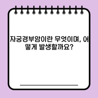 자궁경부암 완벽 가이드: 예방, 진단, 치료, 그리고 삶의 질 향상