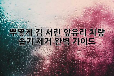 뿌옇게 김 서린 앞유리? 차량 습기 제거 완벽 가이드!