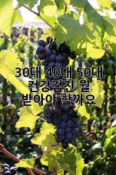30대, 40대, 50대 건강검진, 뭘 받아야 할까요? 🤔