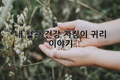 내 혈관 건강 지킴이, 귀리 이야기 ✨