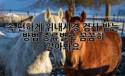 속 편하게 위내시경 검사 받는 방법, 종류별로 꼼꼼히 알아봐요!