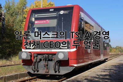 일론 머스크의 TSLA 경영: 천재 CEO의 두 얼굴
