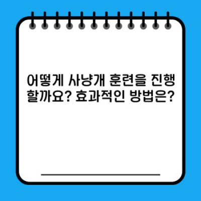 사냥개 훈련: 완벽한 파트너를 만들어가는 여정