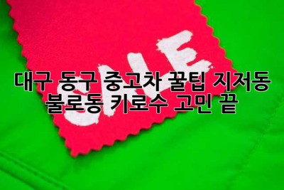 대구 동구 중고차 꿀팁🍯: 지저동, 불로동 키로수 고민 끝!