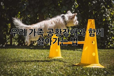 우리 가족, 공황장애와 함께 살아가는 법