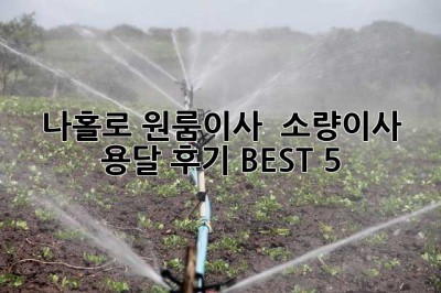 나홀로 원룸이사? 🚚 소량이사 용달 후기 BEST 5 ✨