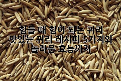 힘들 때 힘이 되는 귀리! 맛있는 귀리 레시피 5가지와 놀라운 효능까지! ✨