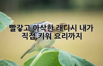 빨갛고 아삭한 래디시, 내가 직접 키워 요리까지!
