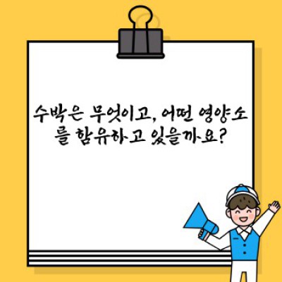 시원한 수박, 놀라운 효능! 수박의 모든 것