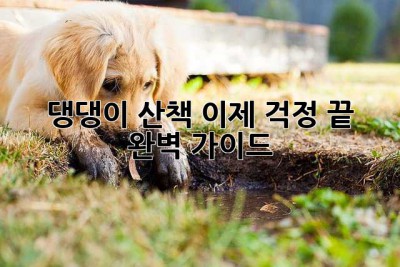 댕댕이 산책, 이제 걱정 끝! 완벽 가이드🐶